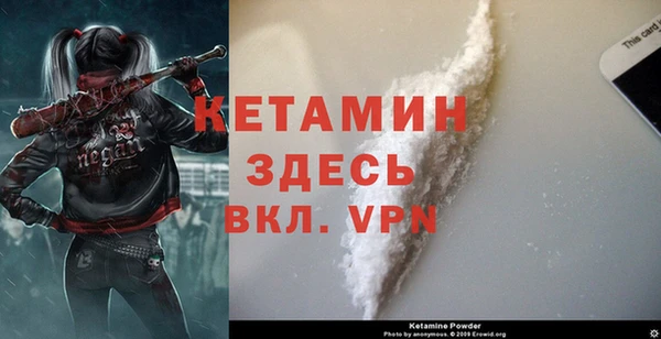 гидра Гатчина