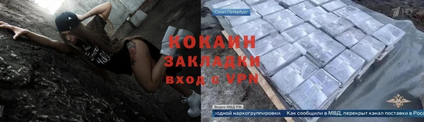 гидра Гатчина
