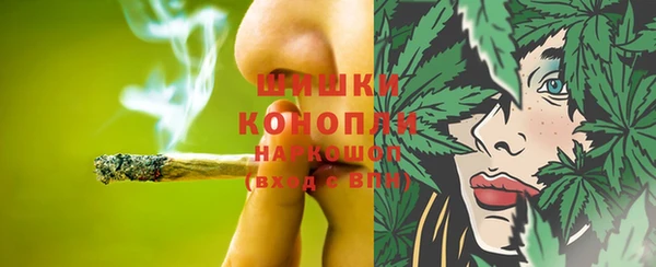 гидра Гатчина