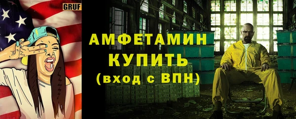 гидра Гатчина