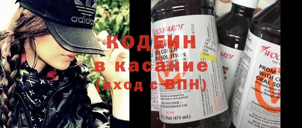 гидра Гатчина