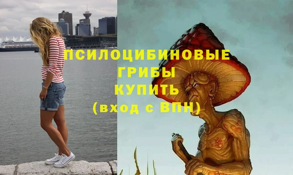 амфетамин Гвардейск