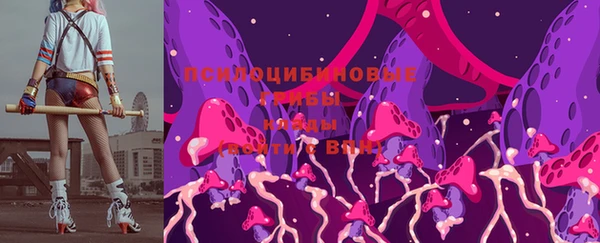 гидра Гатчина