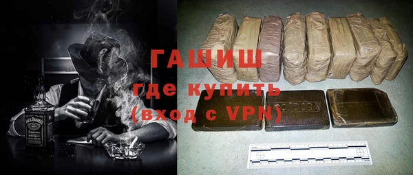 гидра Гатчина