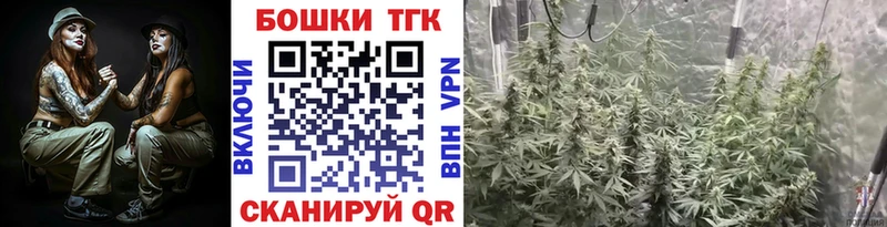 Бошки Шишки ГИДРОПОН  Любим 